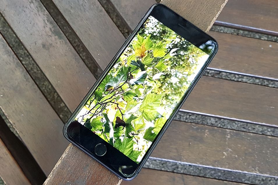 apple 8 plus camera