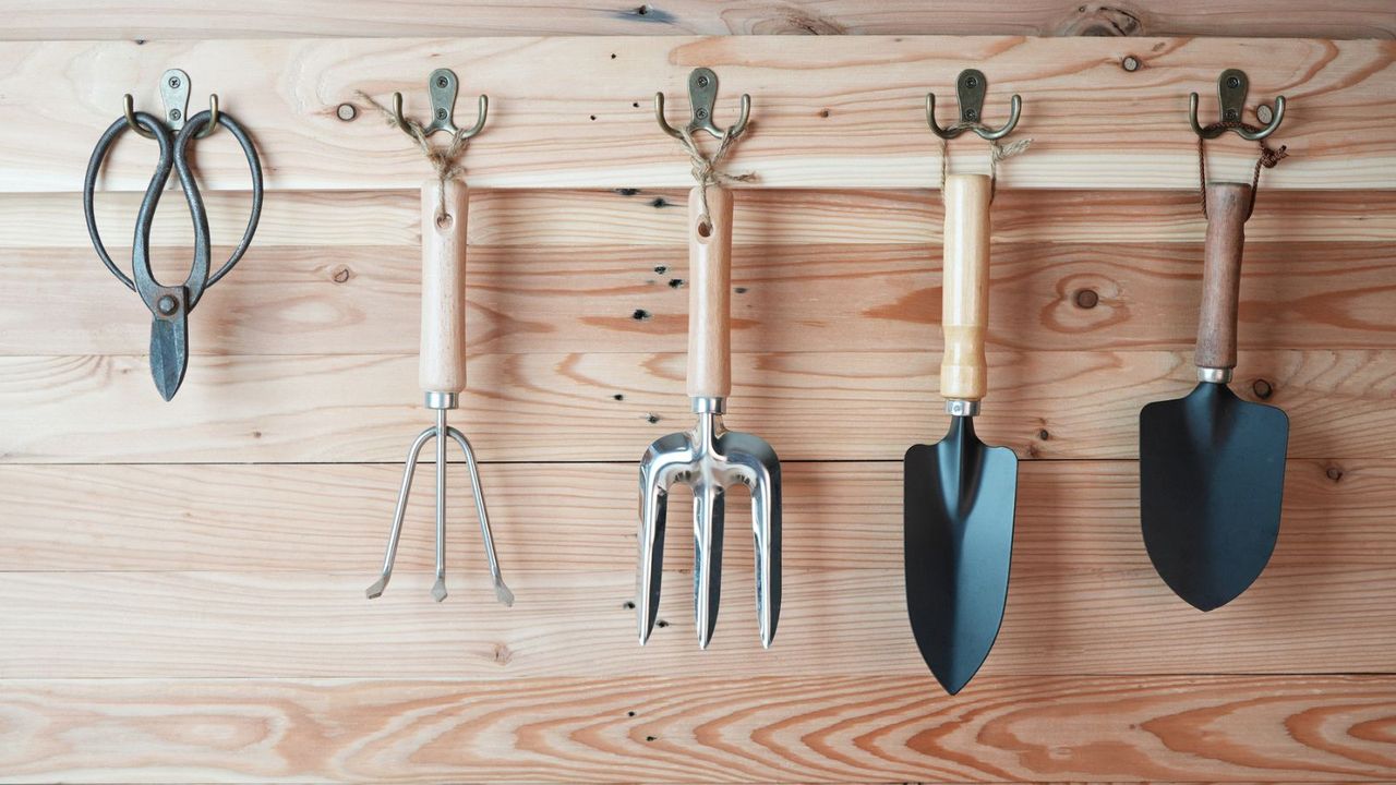 Hand tools hanging in shed 