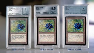 Black Lotus MTG cards in display cases