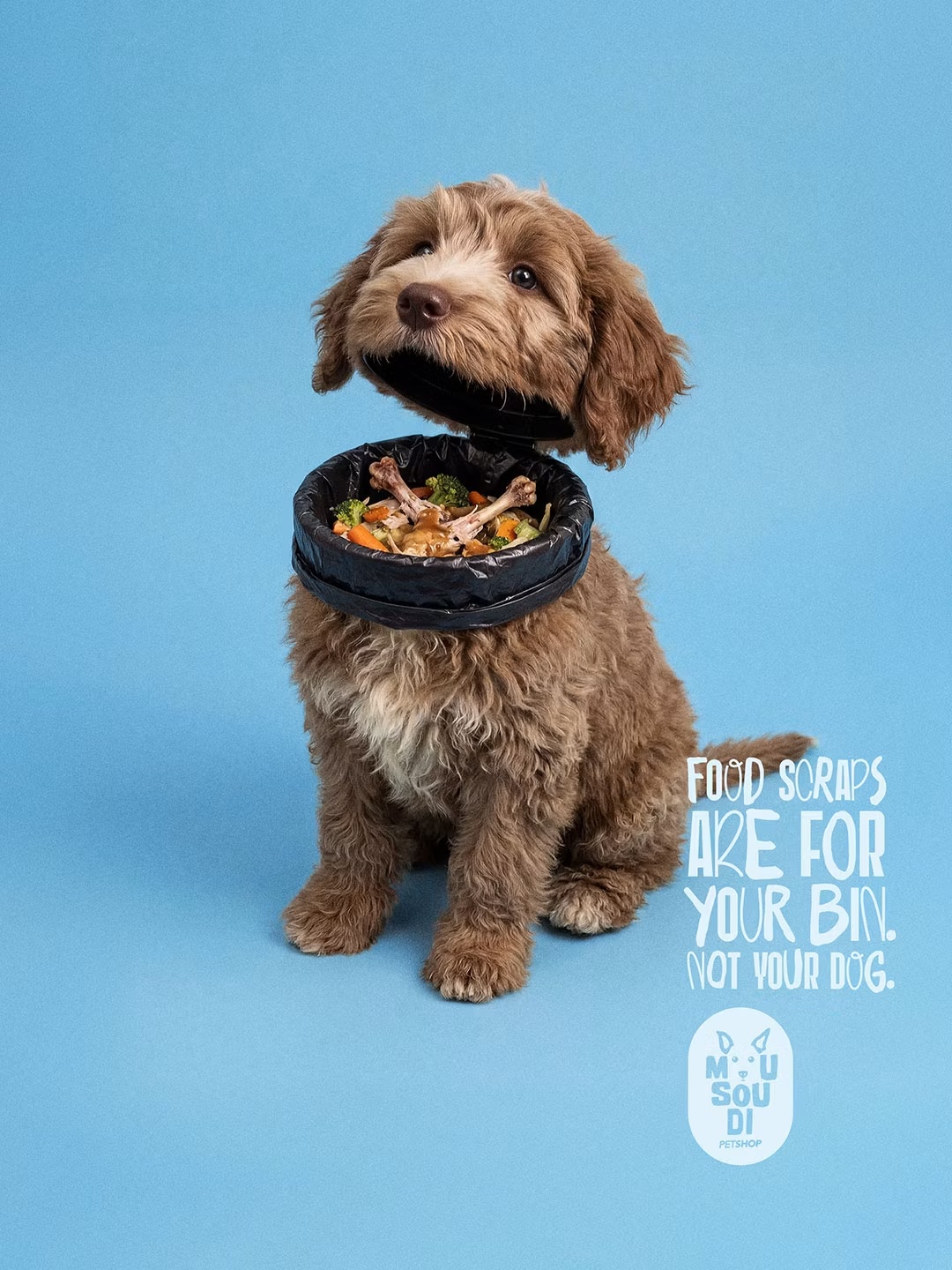 Posters of pets with bins for mouths
