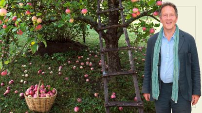 Compilation image of gardener Monty Don in front of an apple tree with fallen apples