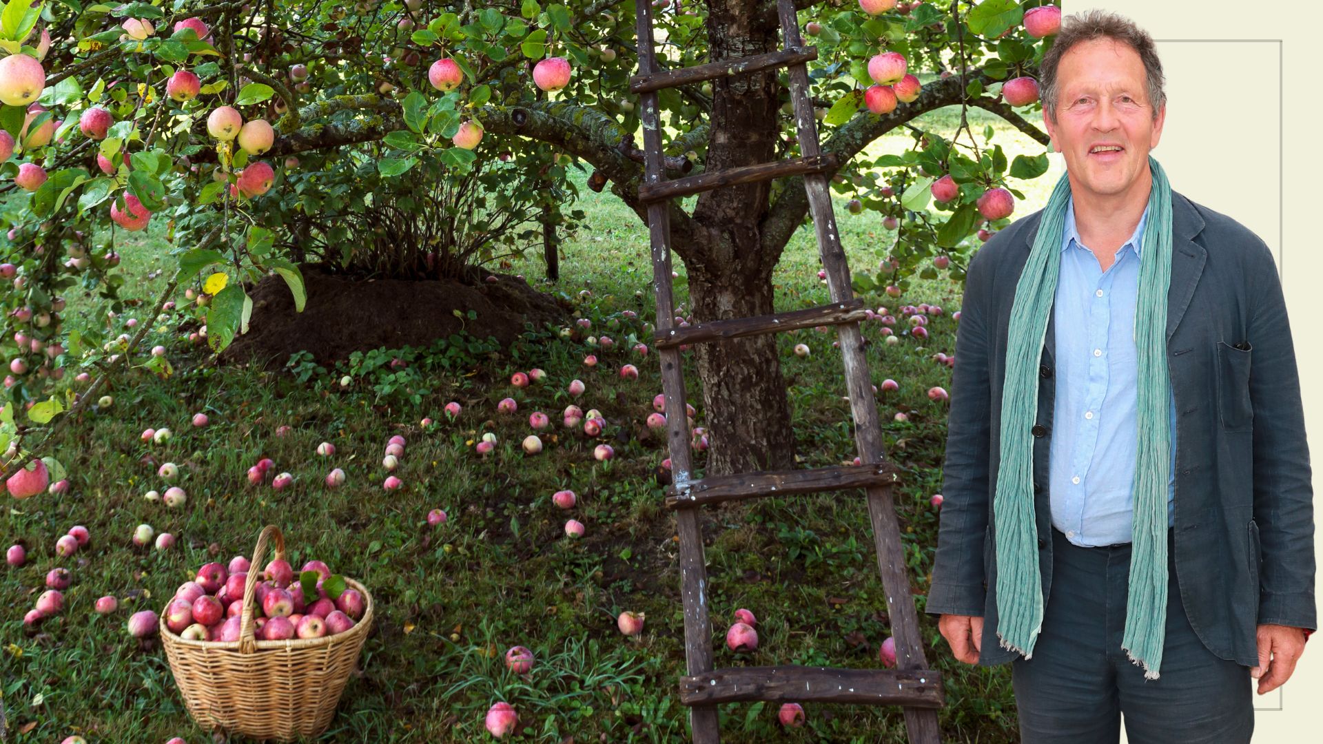 Compilation image of gardener Monty Don in front of an apple tree with fallen apples