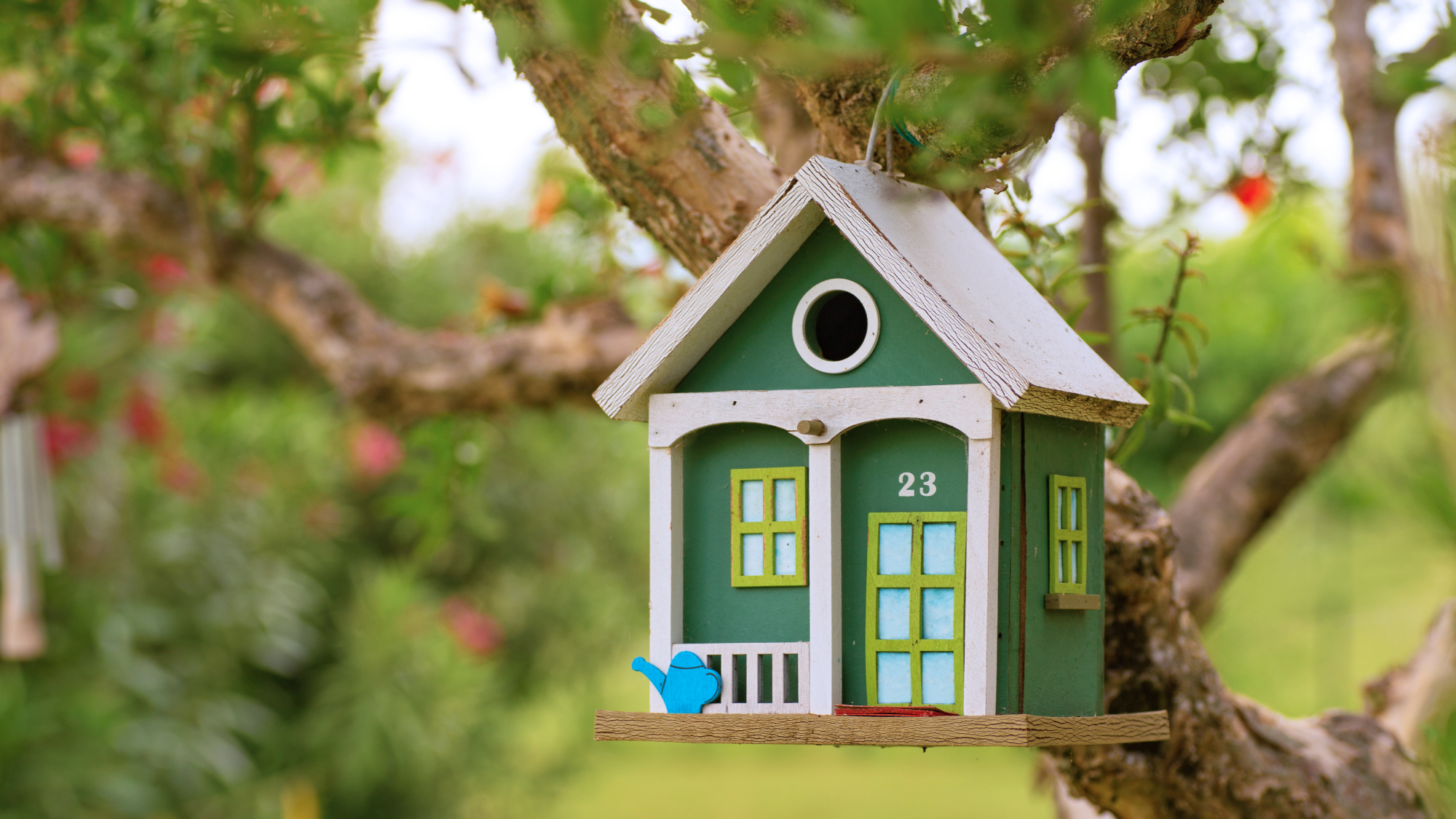 cute birdhouse hanging in a tree 