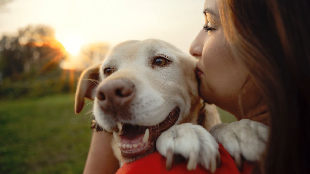 Woman hugging Labrador dog outside