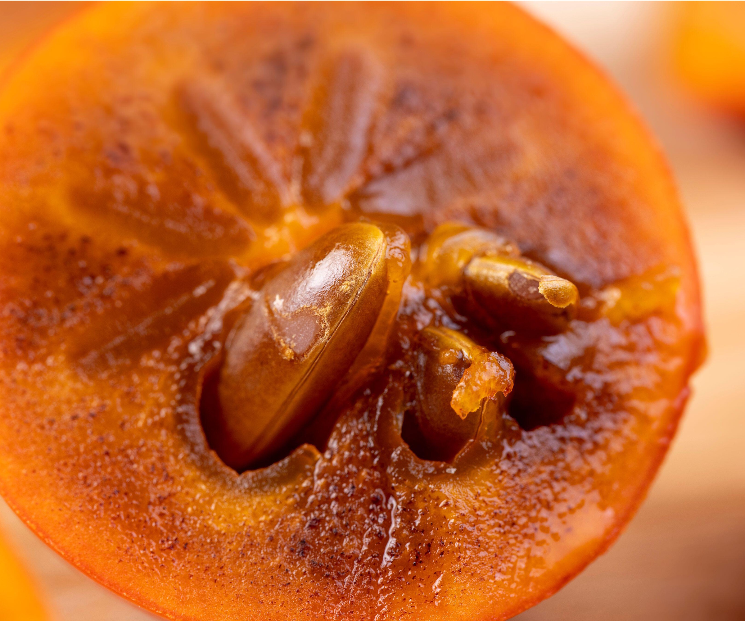 Persimmon seeds
