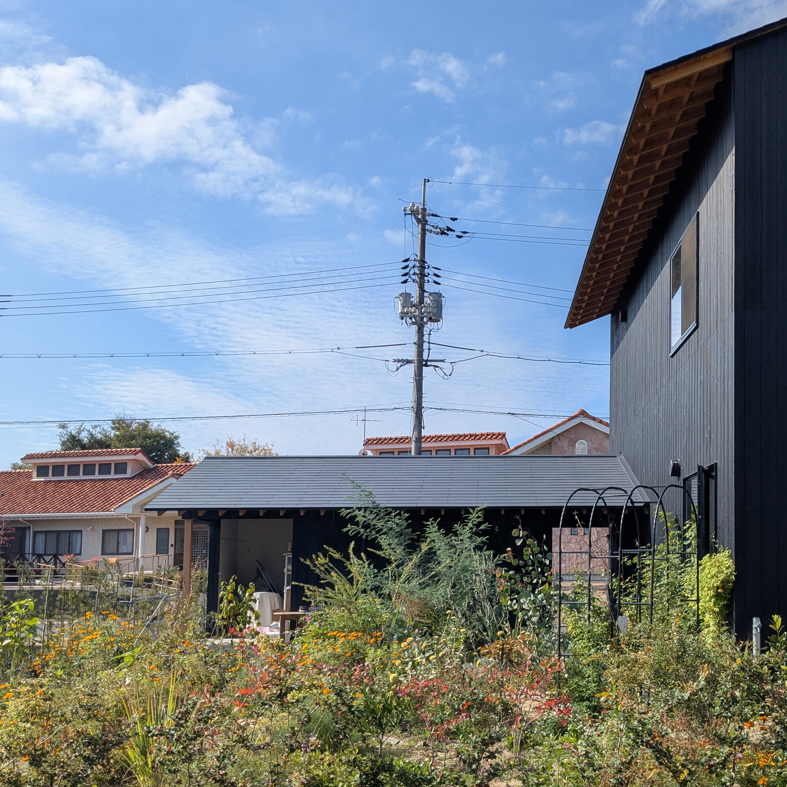 On a recent site visit the architects captured the garden in a more mature state