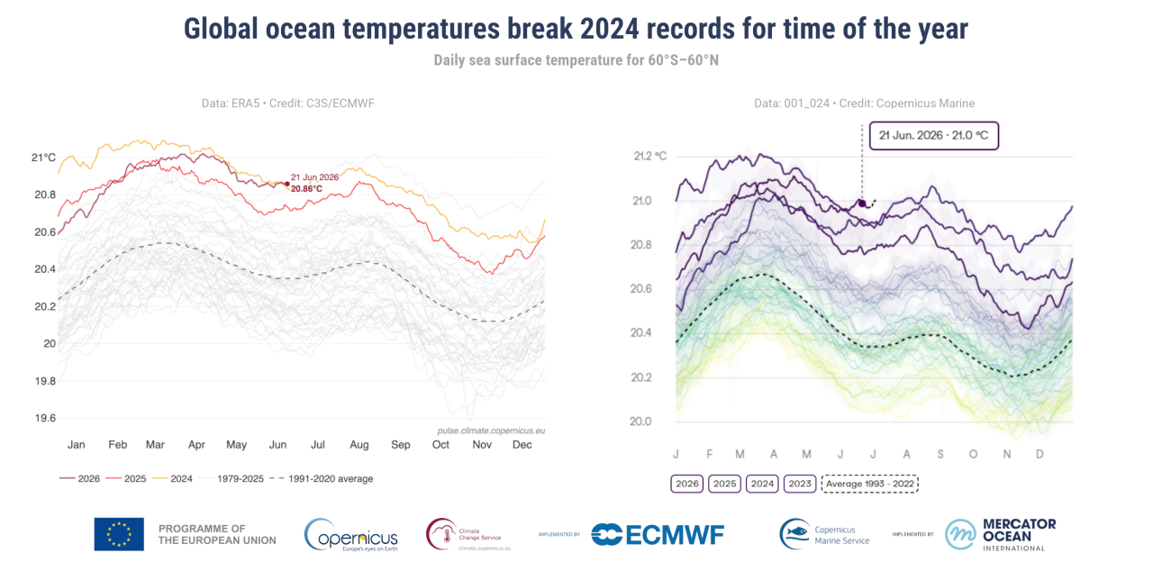 Graphs to show increasing global sea surface temperatures