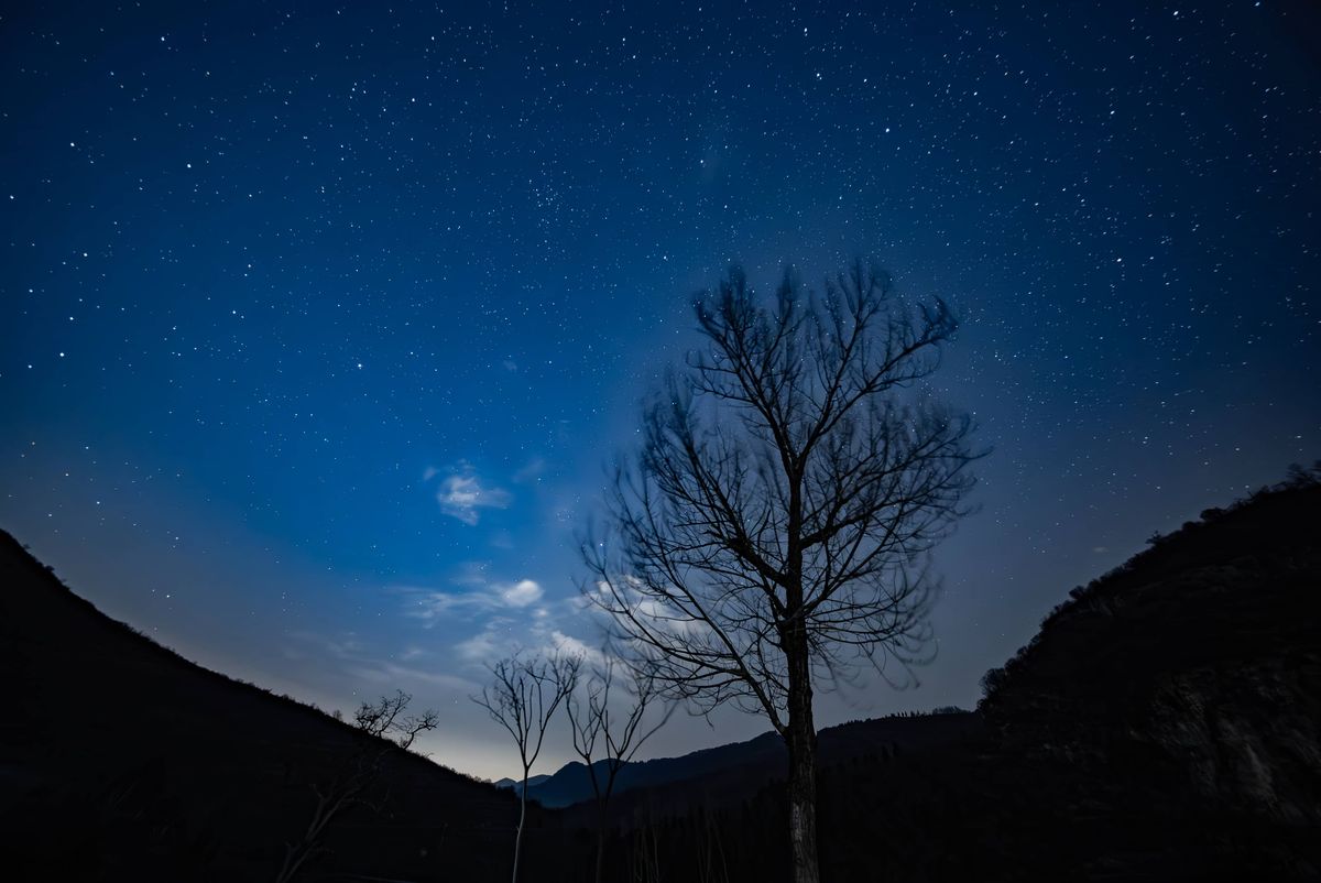 The Brightin Star 14mm f/2.8 lens