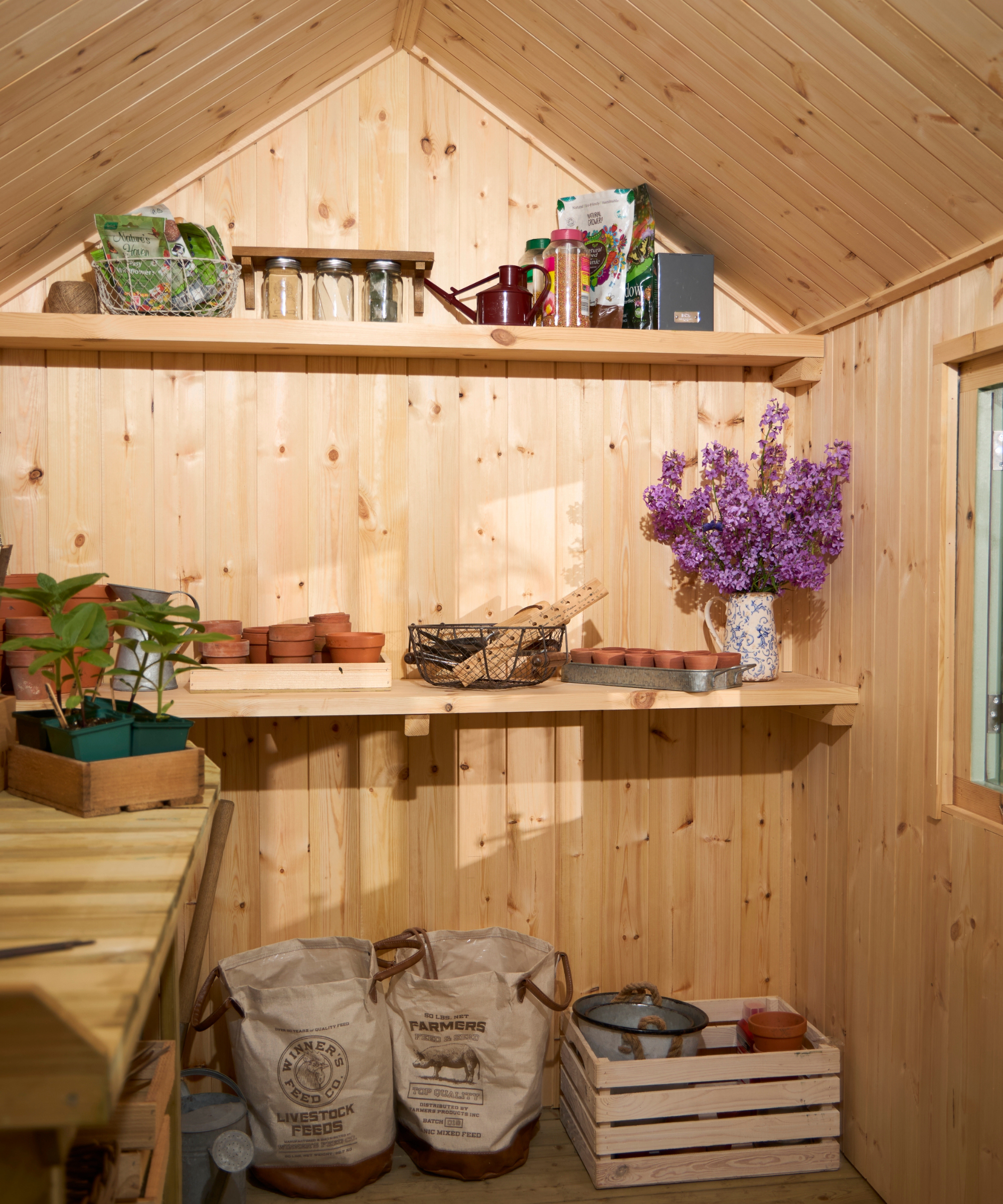 Inside a wooden shed with shelving