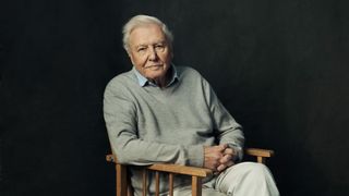 Sir David Attenborough wearing a grey jumper and sitting down in a chair in Mammals.