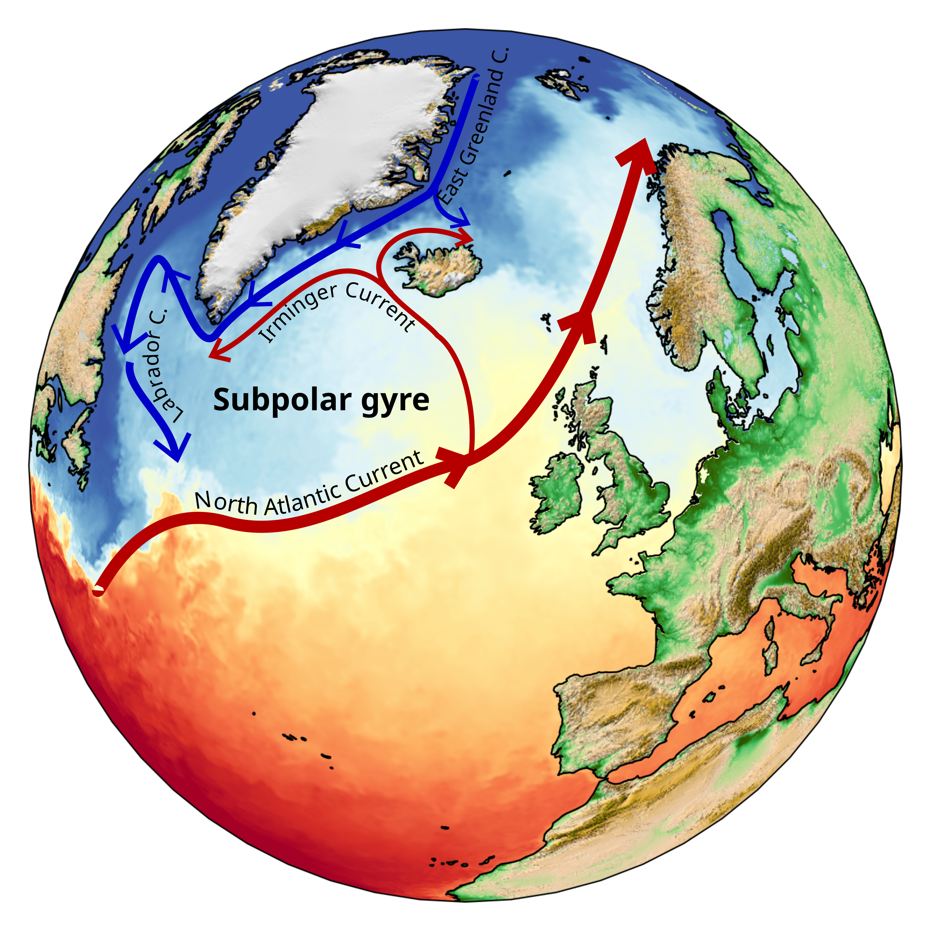 A diagram of Earth showing the North Atlantic subpolar gyre to the south of Greenland.
