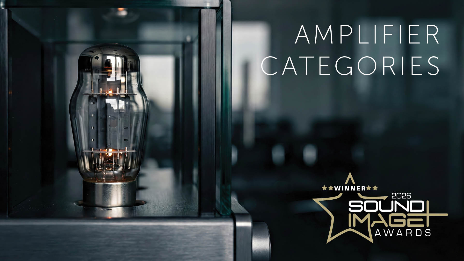 Sound+Image Awards categories