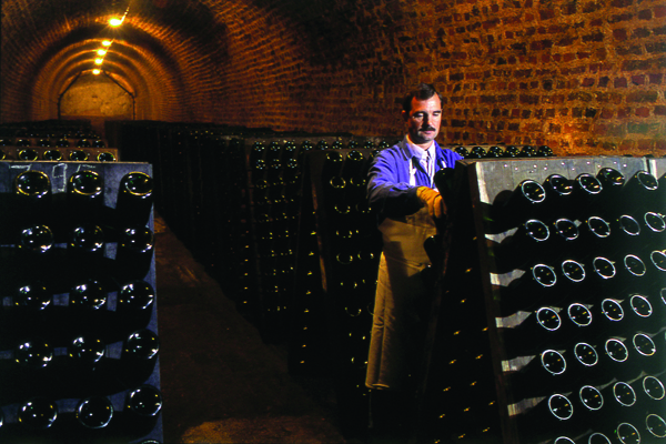 0000089b9-Bollingerriddlingcellar.jpg