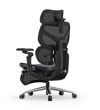 FlexiSpot Sentinel-Pro 