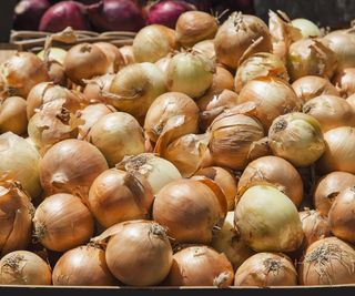 A table of onions drying in the sunn