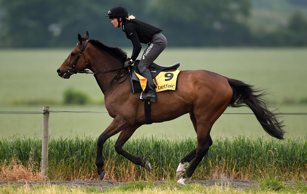 Training-Image-1-T.jpg
