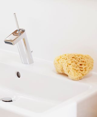 A sponge on the side of a sink