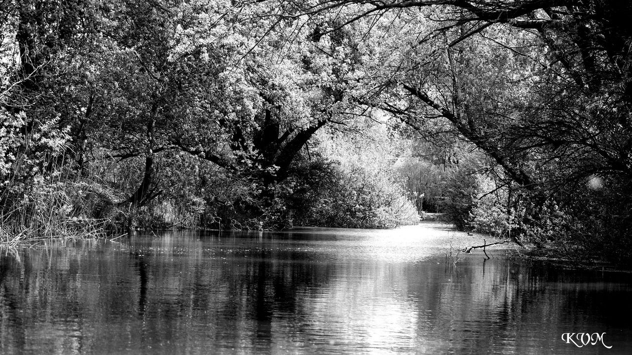 GuruShots - Monochrome Moments Jan 26