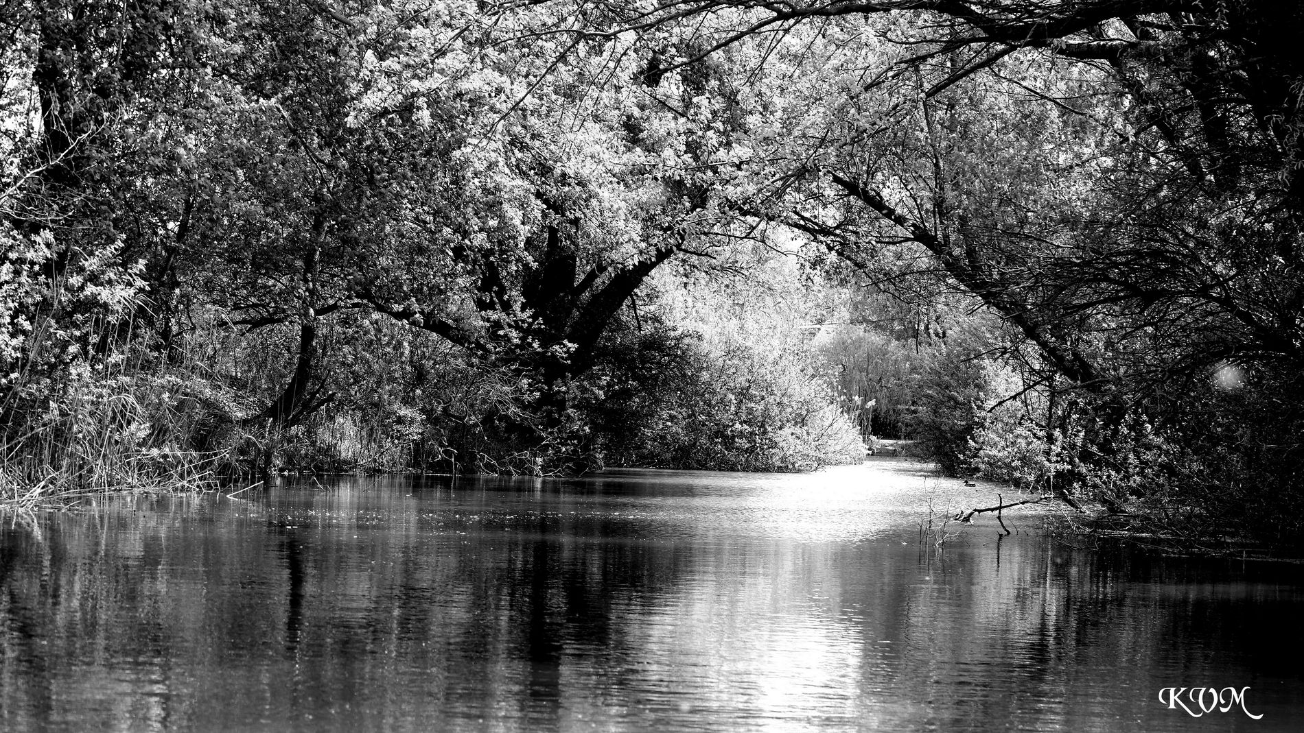 GuruShots - Monochrome Moments Jan 26