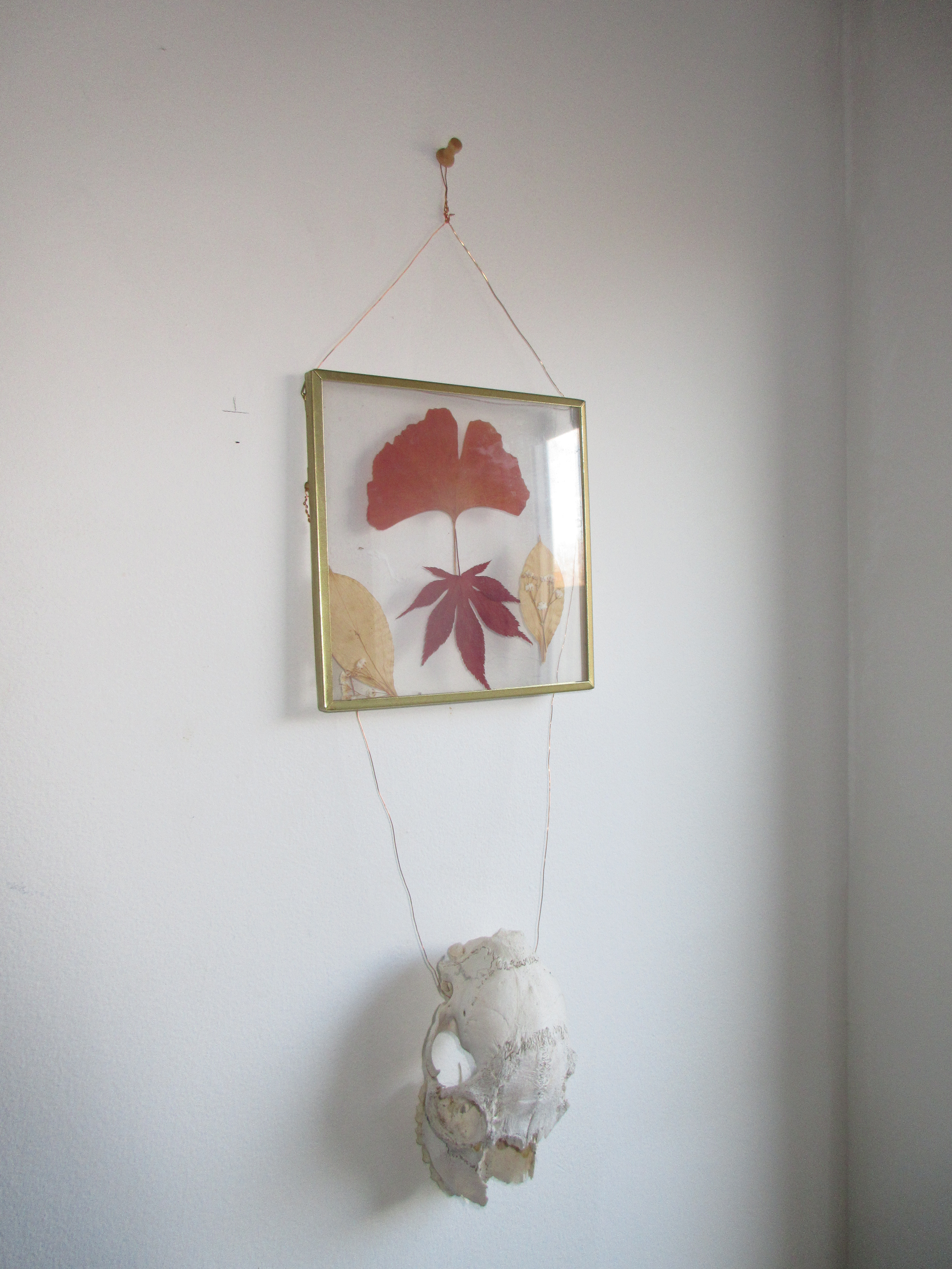 A photo taken on a Canon PowerShot Elph 360 HS A