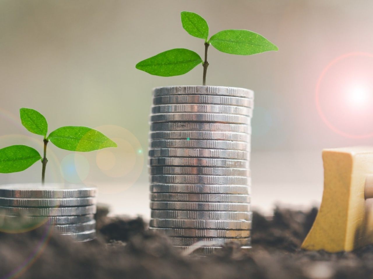 Seedlings growing out of stacks of coins