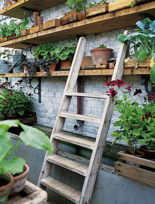 thick wooden timber shelves in a potting shed