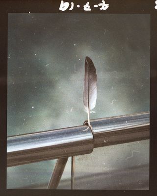 Feather, by Polly Brown, from Airportals
