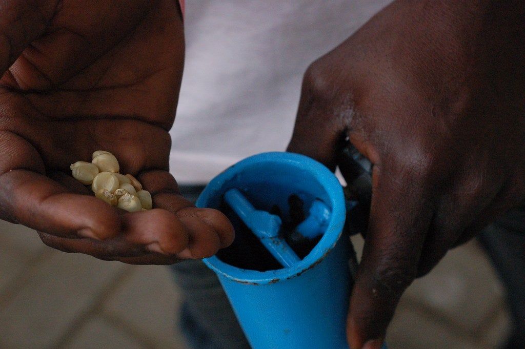 Person Placing Seeds Into A DIY Seeder