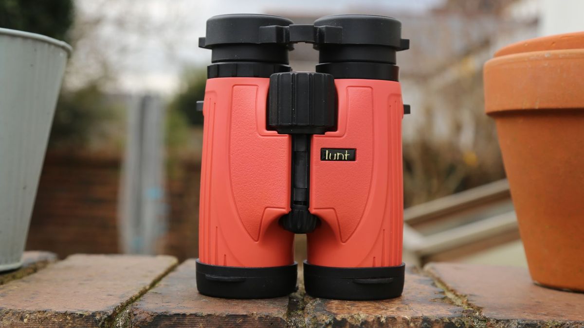 Lunt SunOculars 8x32 on a brick wall next to some plant pots.