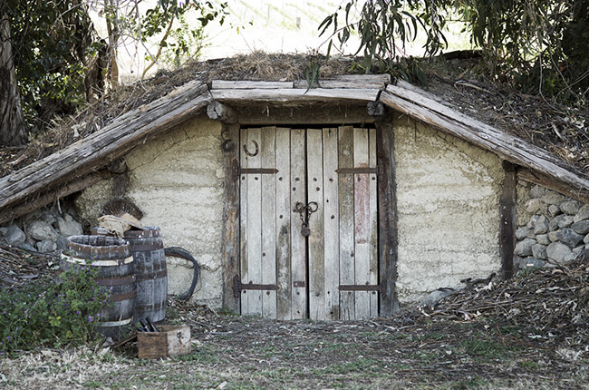 new zealand road trip