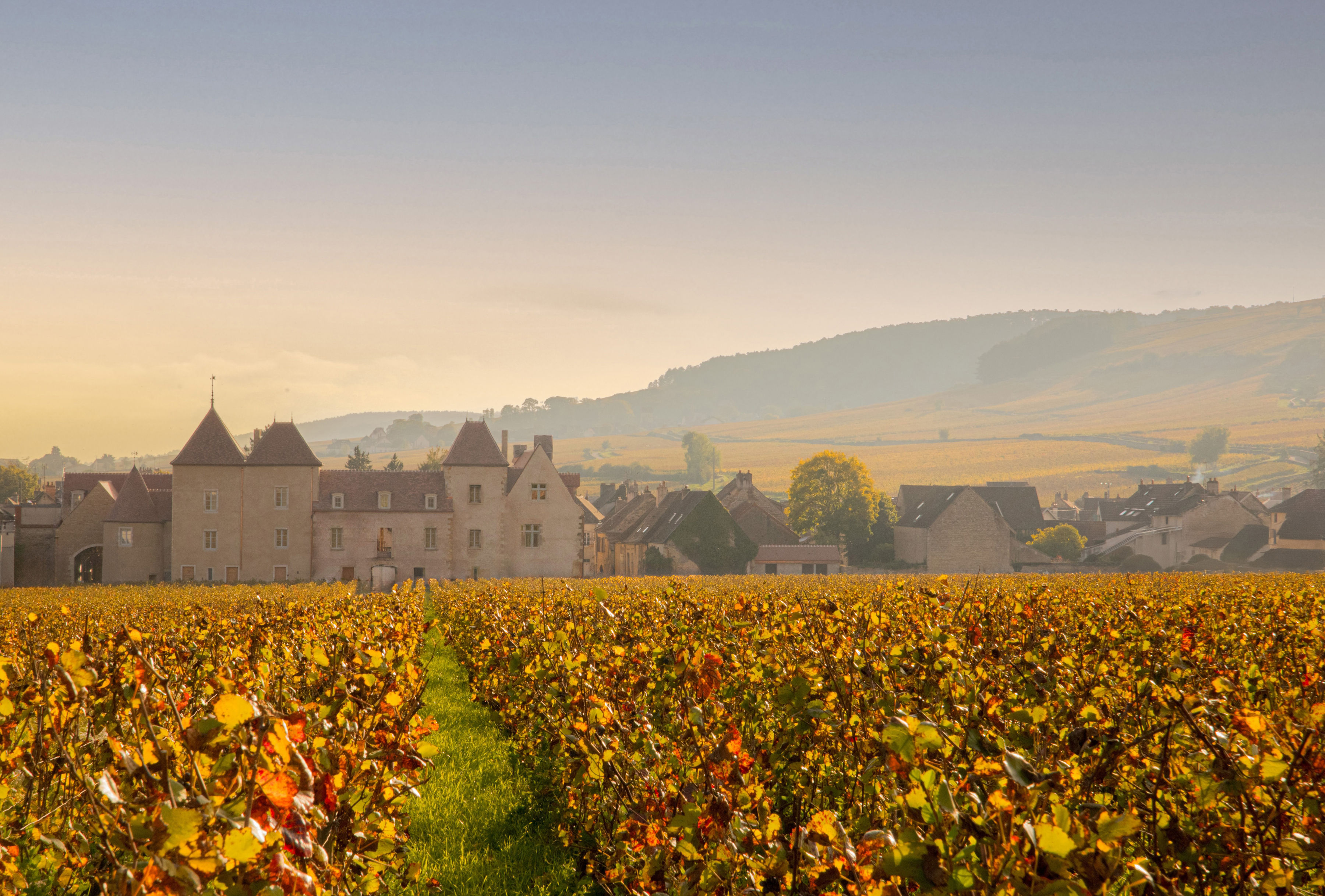 Ch&acirc;teau la Commaraine