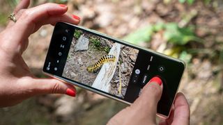 Taking a photo with the Samsung Galaxy Z Fold 5's telephoto camera
