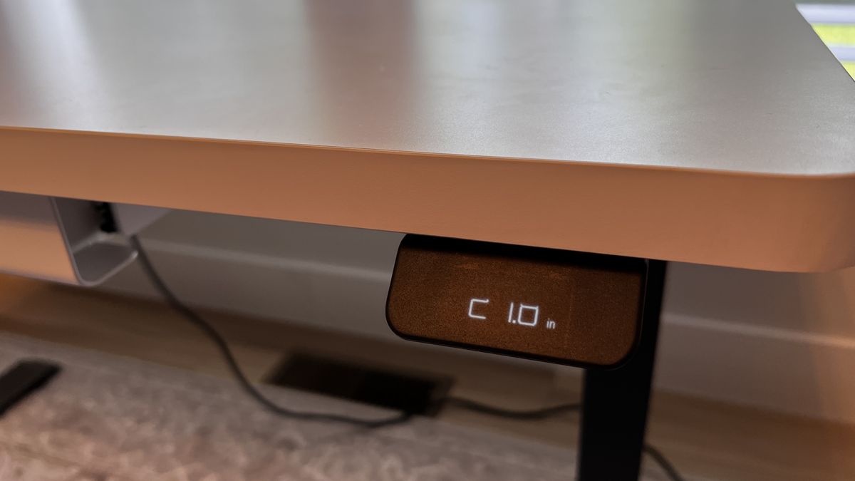 Branch Duo Standing Desk