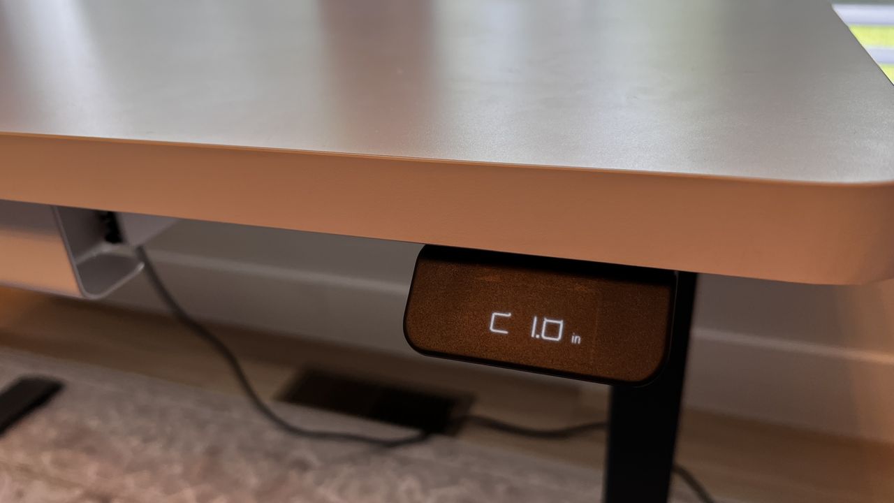 Branch Duo Standing Desk