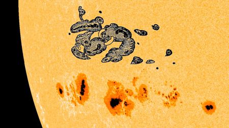 Photo of giant sunspots on the sun with a sketch of the Carrington sunspot added for comparison 