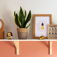 Open shelf with white wall above and coral wall below and plants and artwork displayed on the shelf
