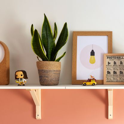 Open shelf with white wall above and coral wall below and plants and artwork displayed on the shelf