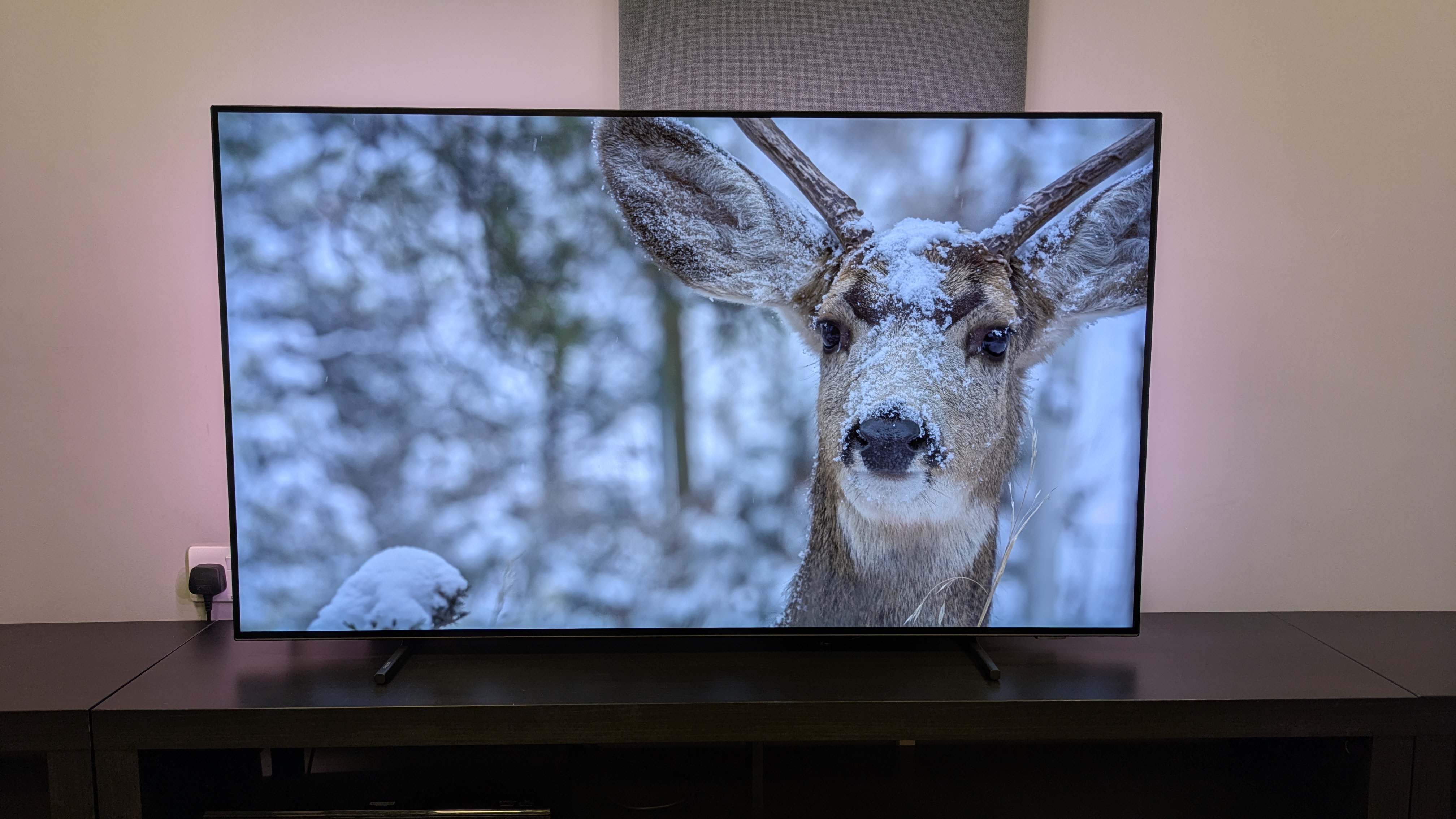 Philips OLED760 with a snow-covered deer on screen