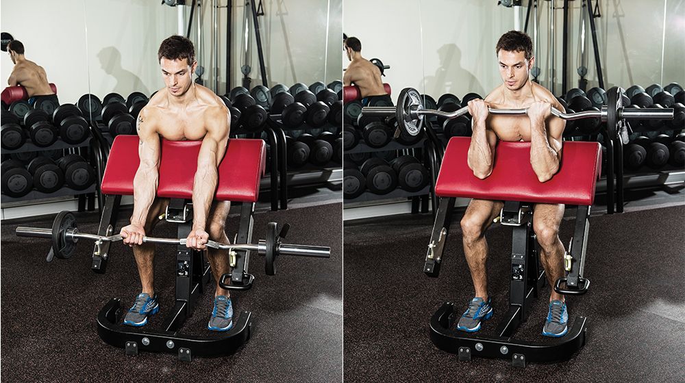 How To Do The Preacher Curl