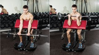 Preacher best sale bench exercises