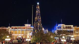 Holiday Tree at Magic Kingdom Walt Disney World