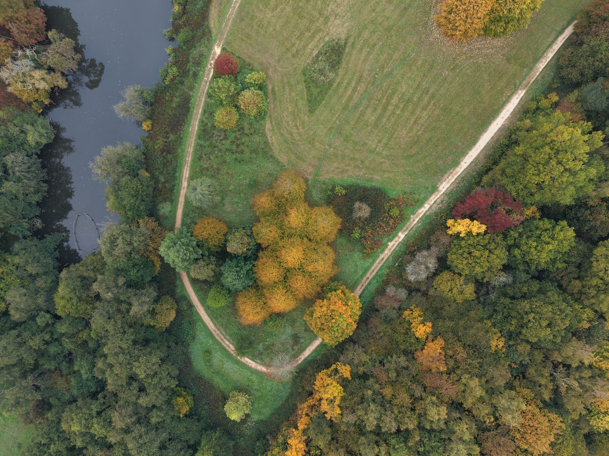 DJI Mini 5 Pro sample images: aerial view of an autumnal arboretum