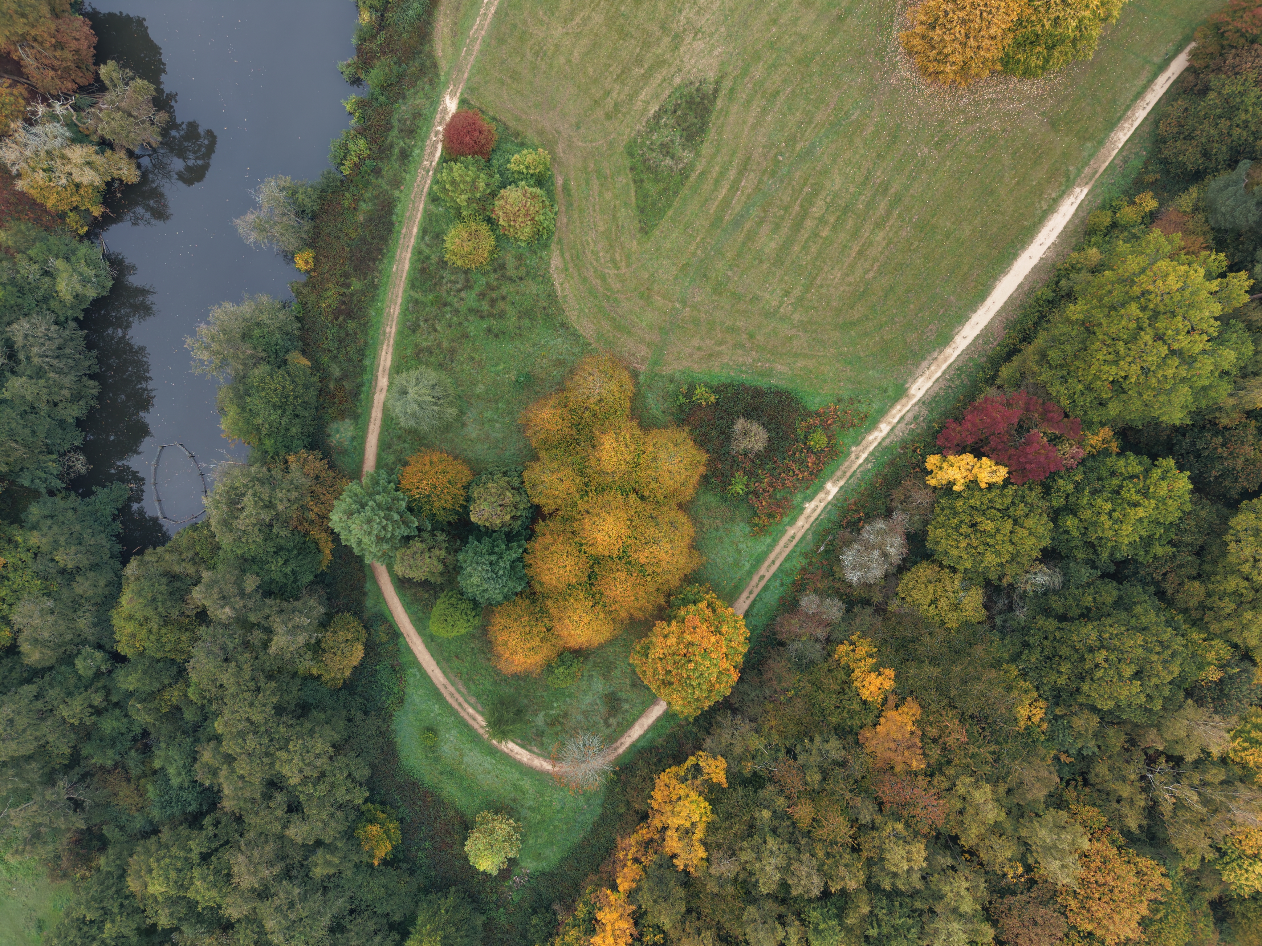 DJI Mini 5 Pro sample images: aerial view of an autumnal arboretum