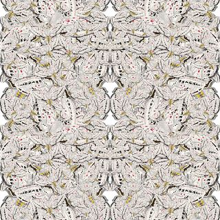 white moth mirrored pattern fabrics