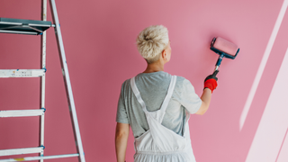 back of someone painting a room pink with a paint roller