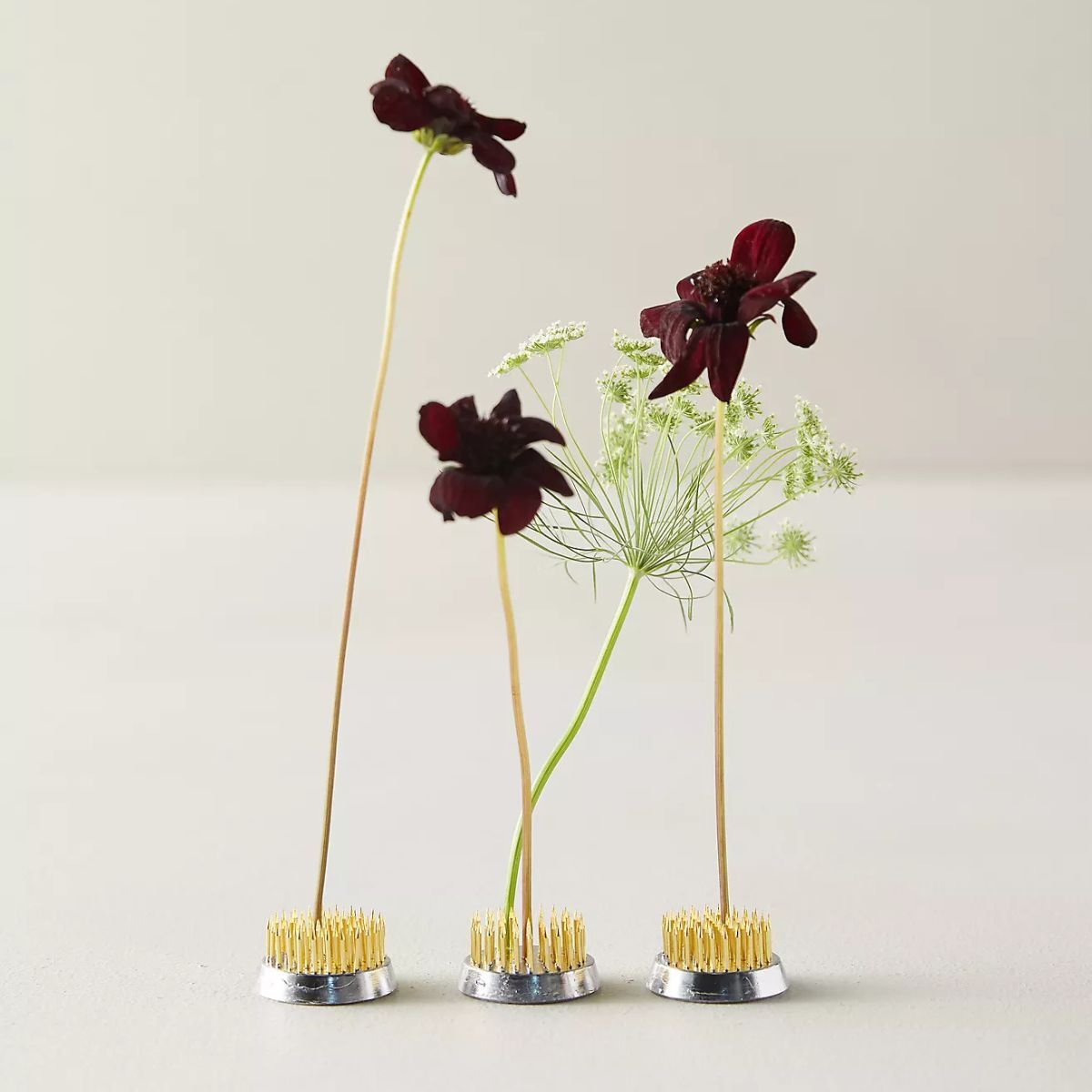 Flower frogs