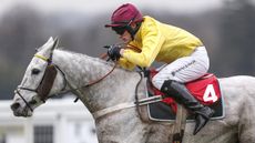 billy aprahamian grand military gold cup