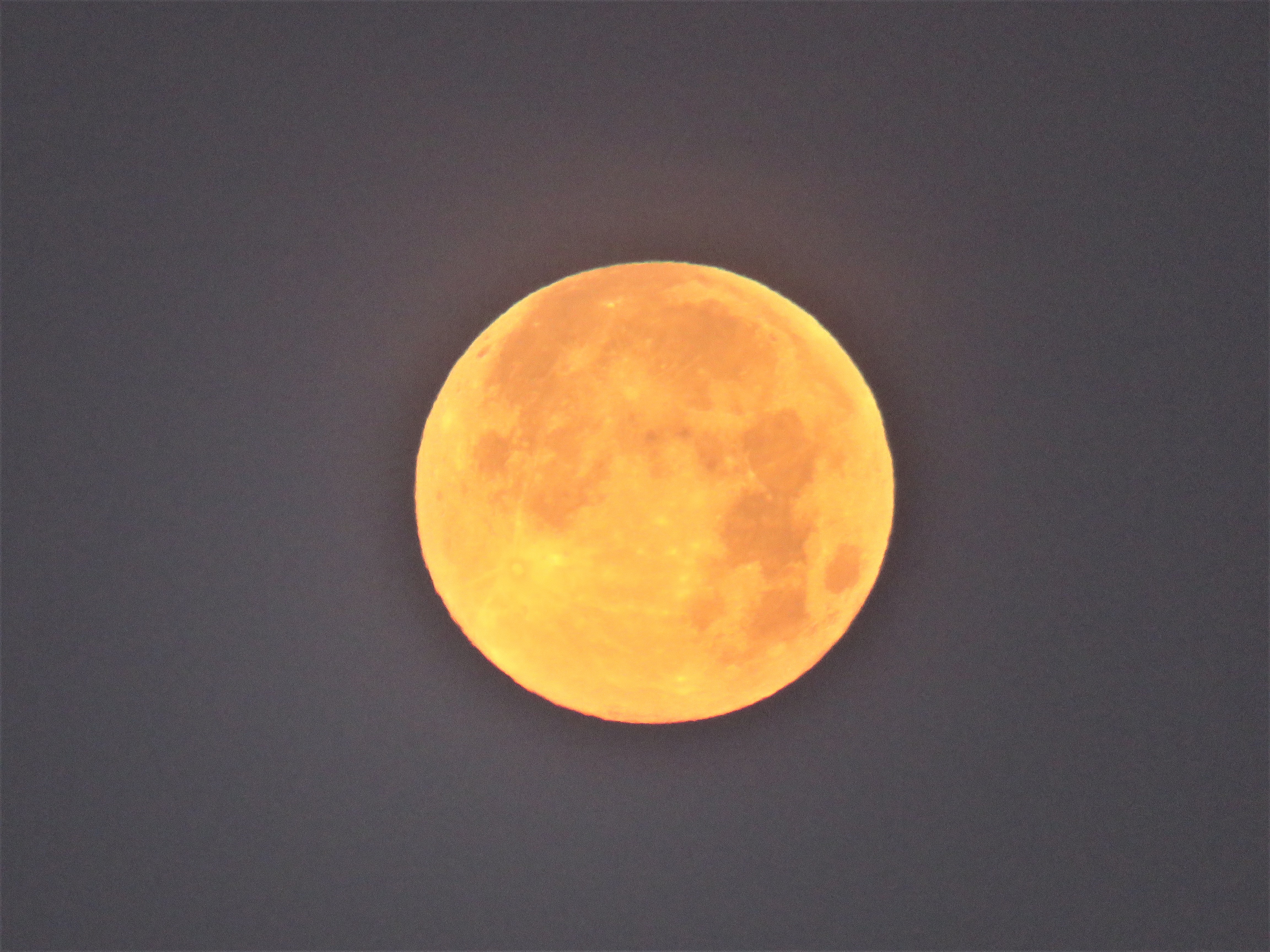Astrophotographer Lisa Shislowski captured the 2020 Flower Moon as it was getting ready to set over Weston, Florida.