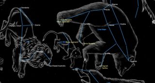 A bear, and two lions, a female and a male, are all transparent in the night sky, facing slantedly downward to the right. Blue lines connect stars in their bodies to trace constellations.