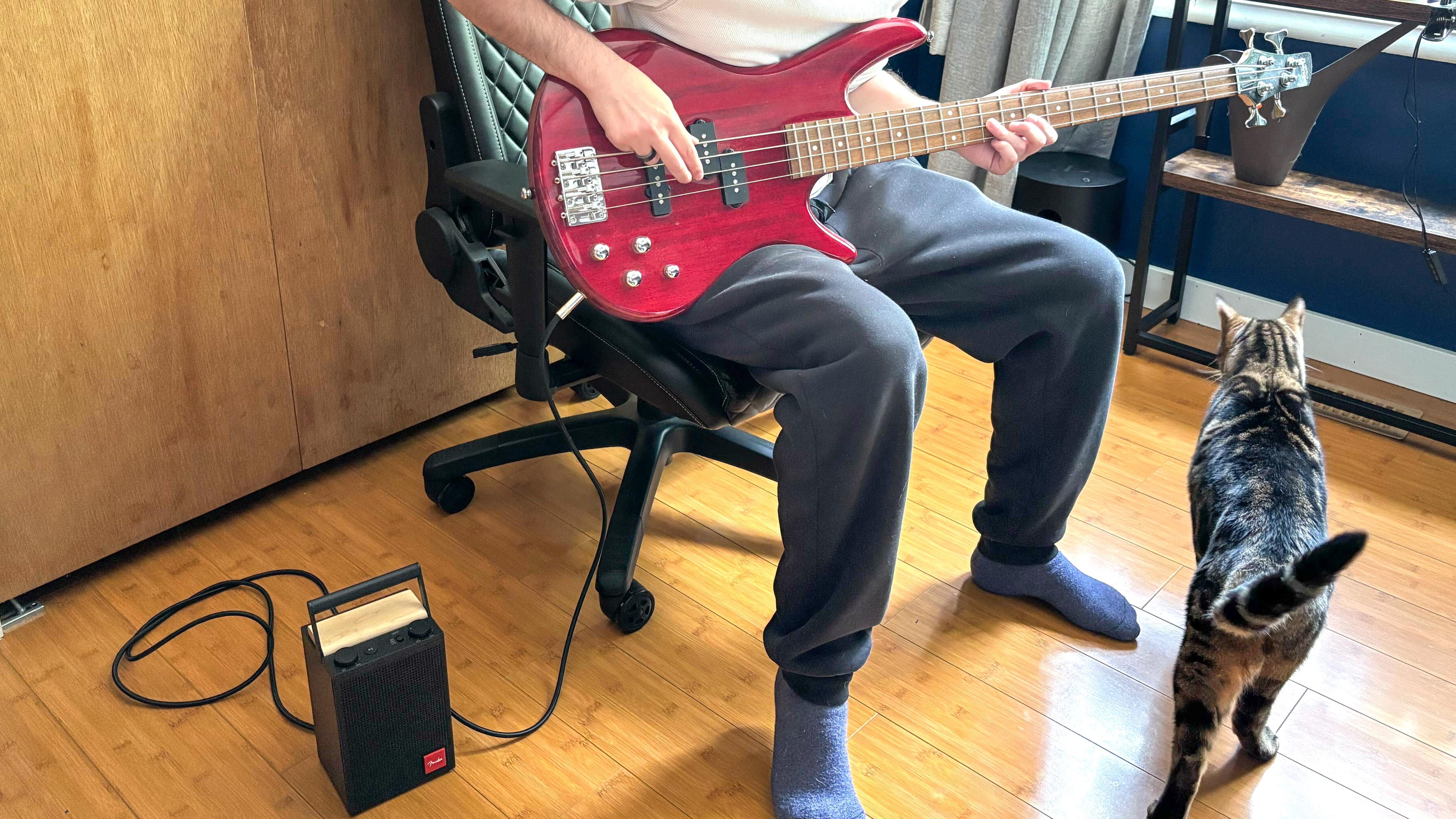 A Fender Audio ELIE 6 in a small room.